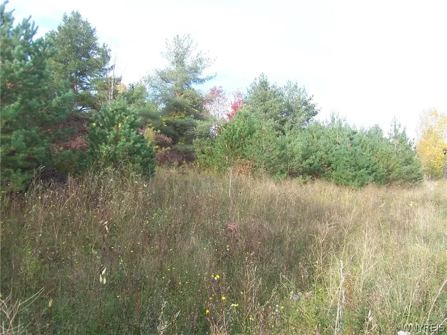Lot 3 Colony Run, Alexander, NY 14005 - #3