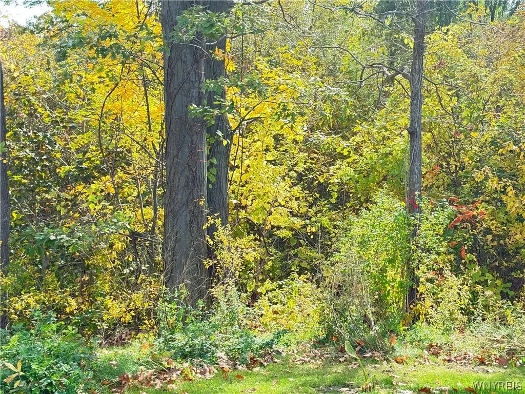 Ridge Road, Lewiston, NY 14092 - #1