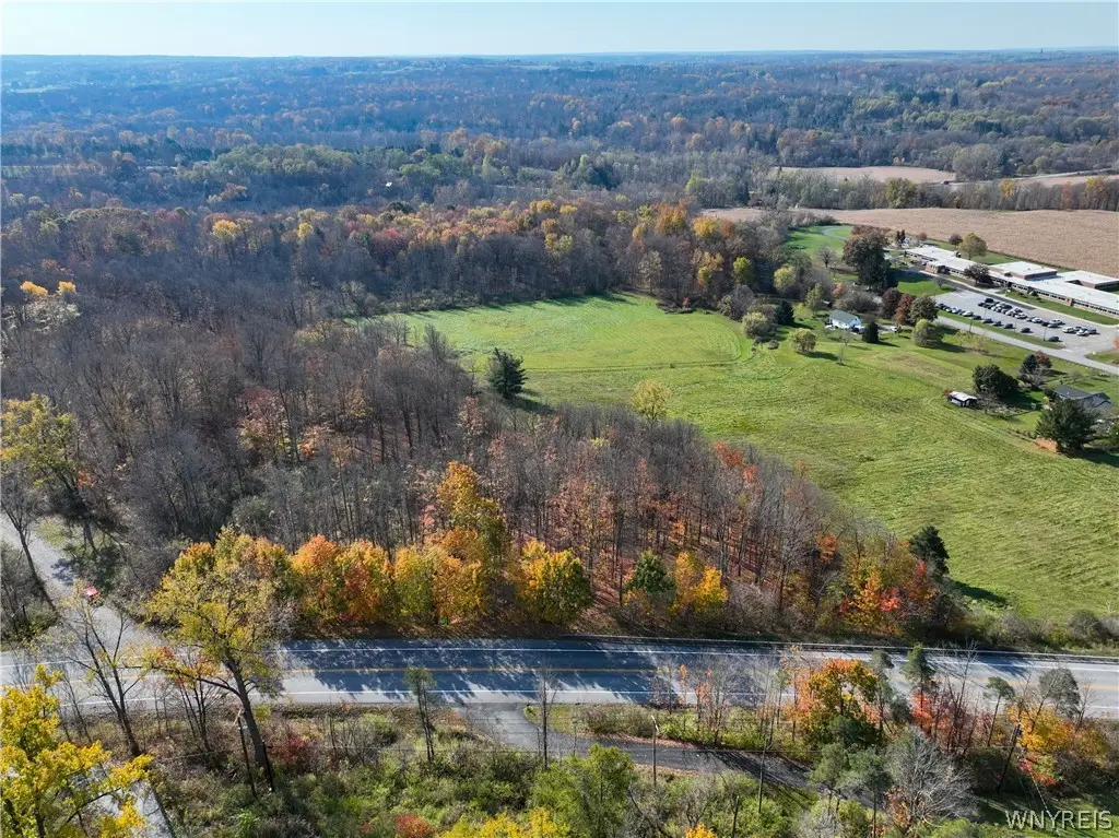 12878 Big Tree Road, East Aurora, NY 14052 - #1
