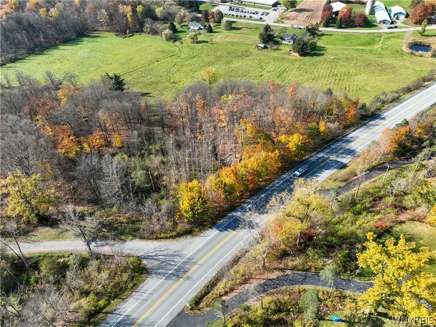 12878 Big Tree Road, East Aurora, NY 14052 - #3