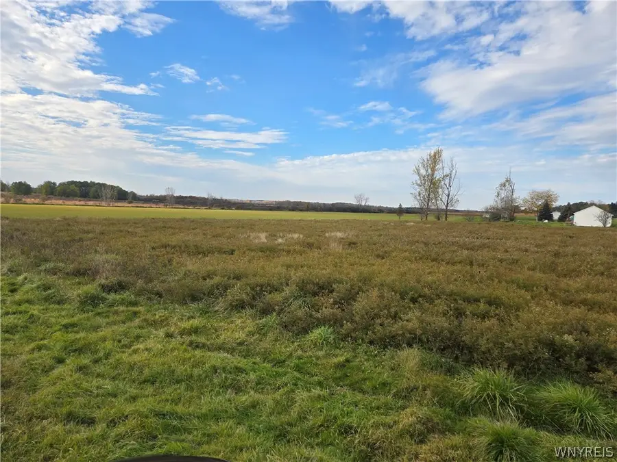 12184 Fletcher Chapel Road, Medina, NY 14103 - #3