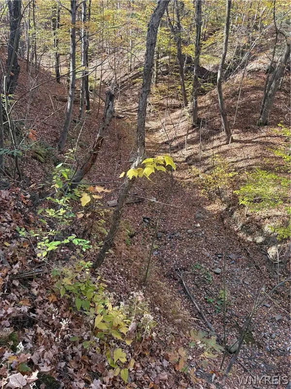 V/L A Geise Road, Attica, NY 14080