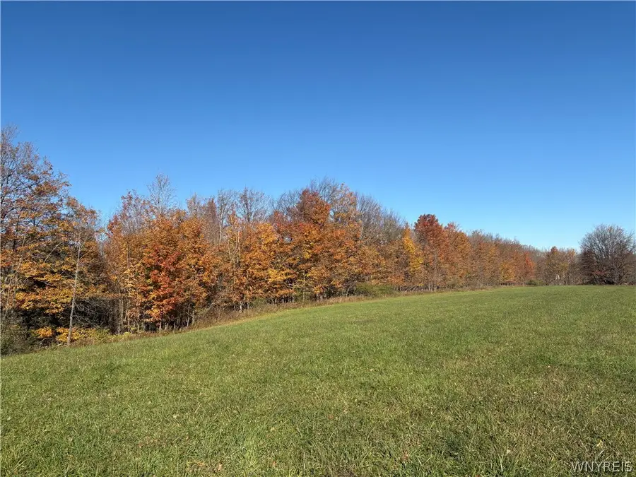 V/L B Geise Road, Bennington, NY 14080 - #2