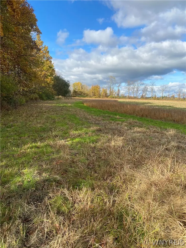 2740 Maple Road, Wilson, NY 14172 - #3