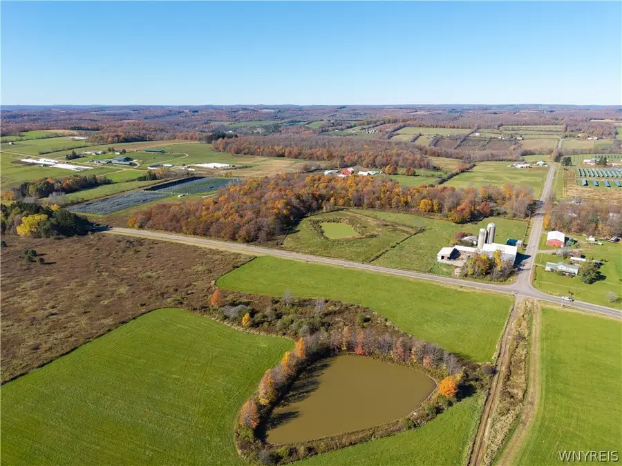 1550 State Route 248, Rexville, NY 14877 - #2