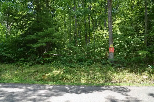 Lot # 2 Hibbard Road, Horseheads, NY 14845