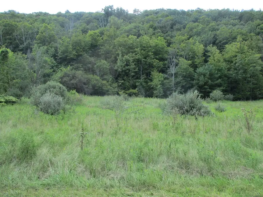 161 Lewis Road, Pine City, NY 14871 - Image #2