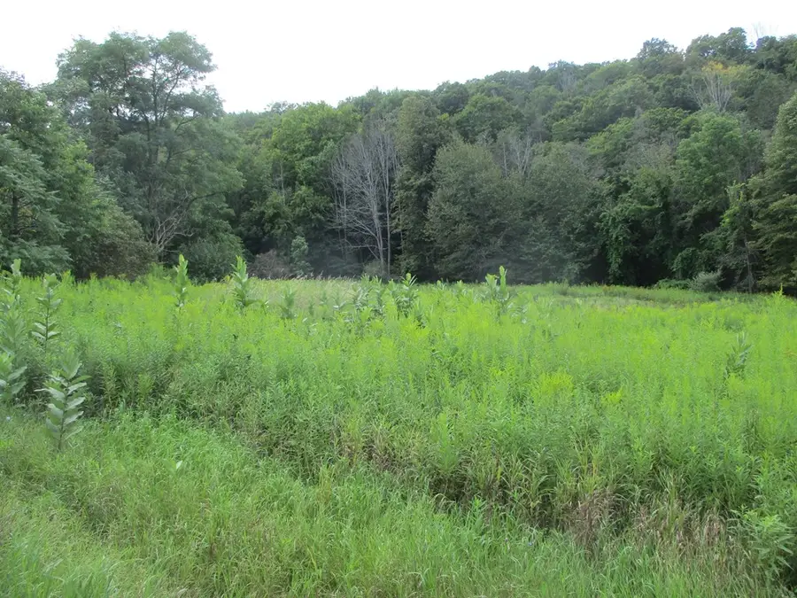 161 Lewis Road, Pine City, NY 14871 - Image #3