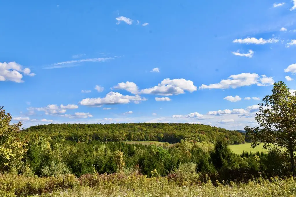 1980 County Rt. 81, Addison, NY 14801 - Image #1