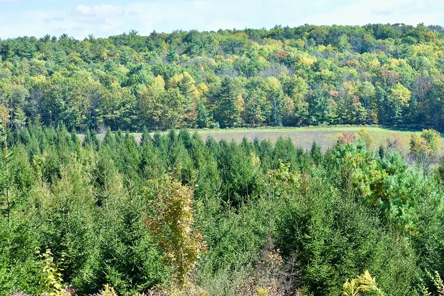 1980 County Rt. 81, Addison, NY 14801 - Image #3