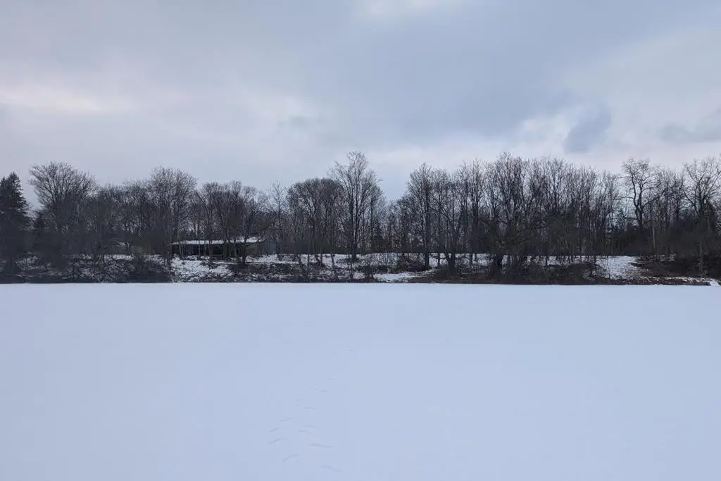 7011 E.william Ext., Bath, NY 14810 - Image #1