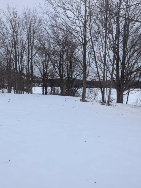 7011 E.william Ext., Bath, NY 14810 - Image #3