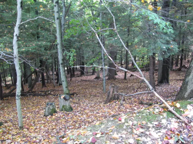 62054 State Route 415, Cohocton, NY 14826 - Image #2