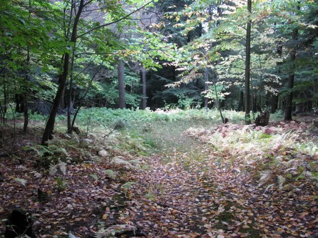 62054 State Route 415, Cohocton, NY 14826 - Image #3