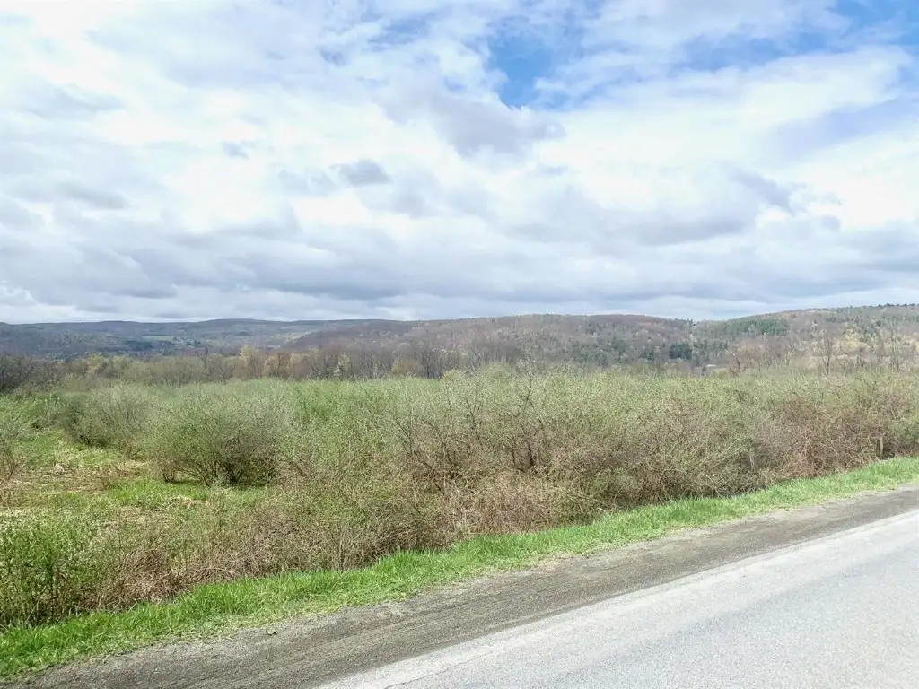 0 Benjamin Hill Road #Lot 0, Newfield, NY 14867 - Image #1