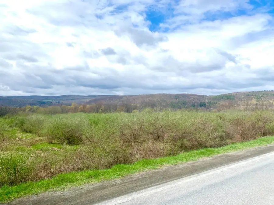 0 Benjamin Hill Road #Lot 0, Newfield, NY 14867 - Image #2