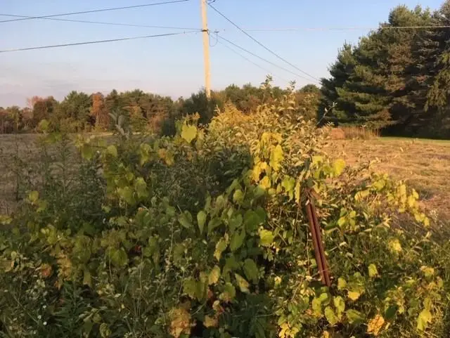 0 Rothermich Road, Ithaca, NY 14850 - Image #3