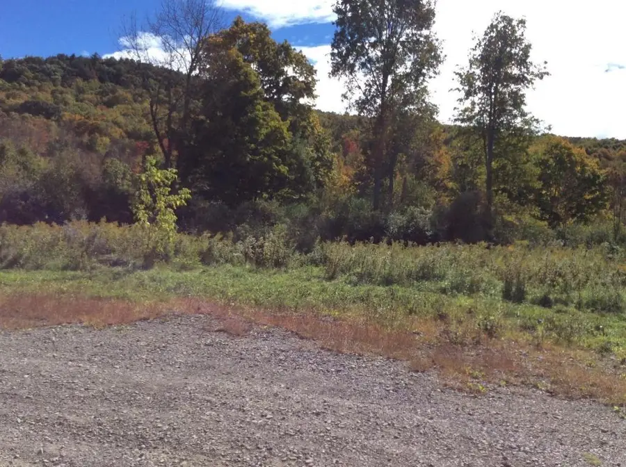0 15 Murphy Lane, Newark Valley, NY 13811 - #3