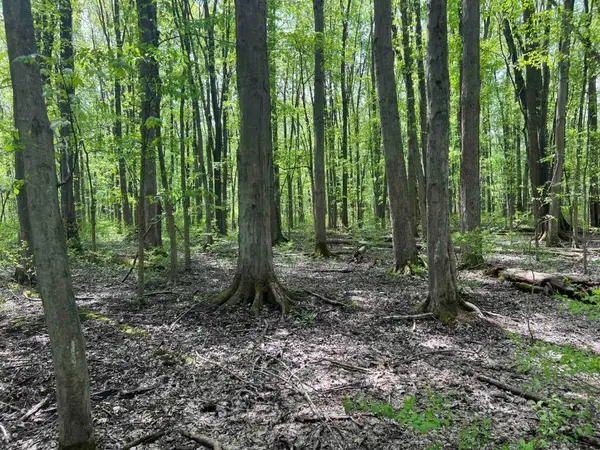 0 Pilgrimport Road, Lyons, NY 14489