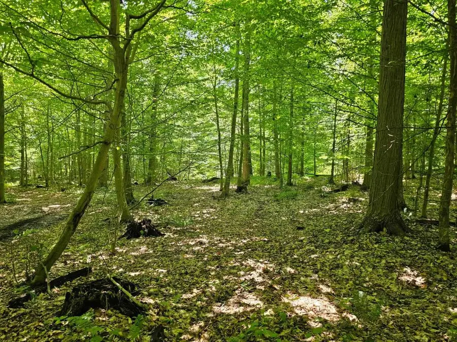 0 Lake Bluff Road, North Rose, NY 14516 - Image #3