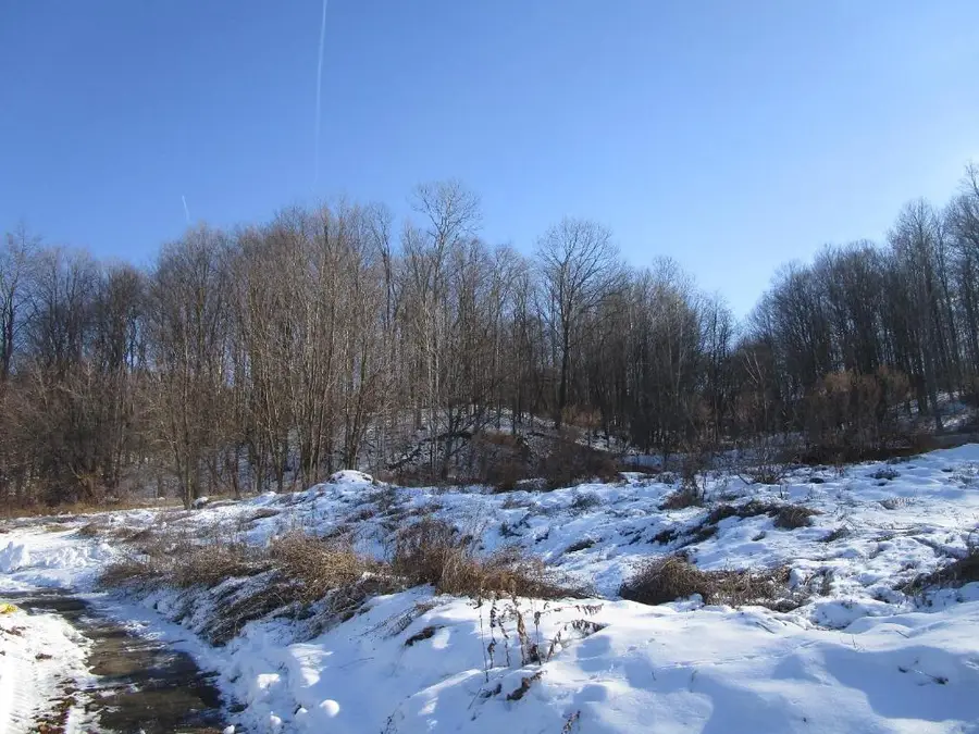 46 Michigan Street, Mohawk, NY 13407 - Image #3