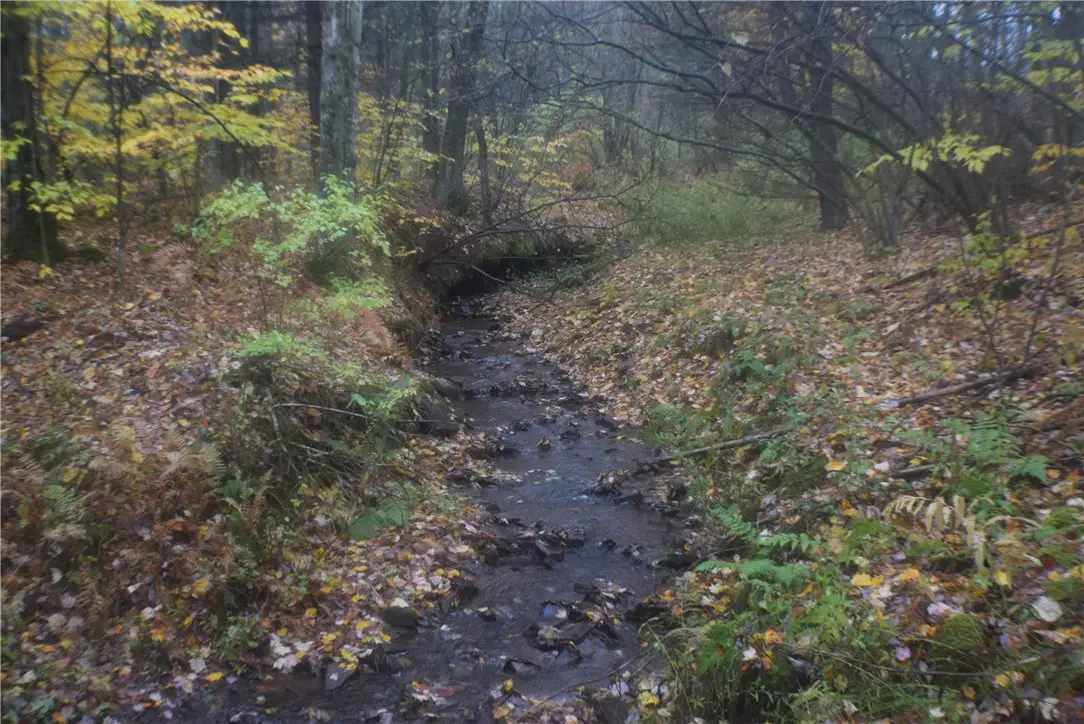 0 Crandall Rd & County Rd 37, Guilford, NY 13780 - Image #1