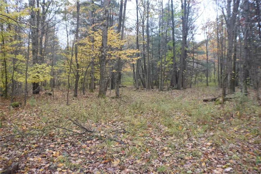 0 Crandall Rd & County Rd 37, Guilford, NY 13780 - Image #3