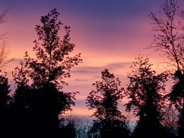 6777 Canal Road, Brockport, NY 14420 - Image #3