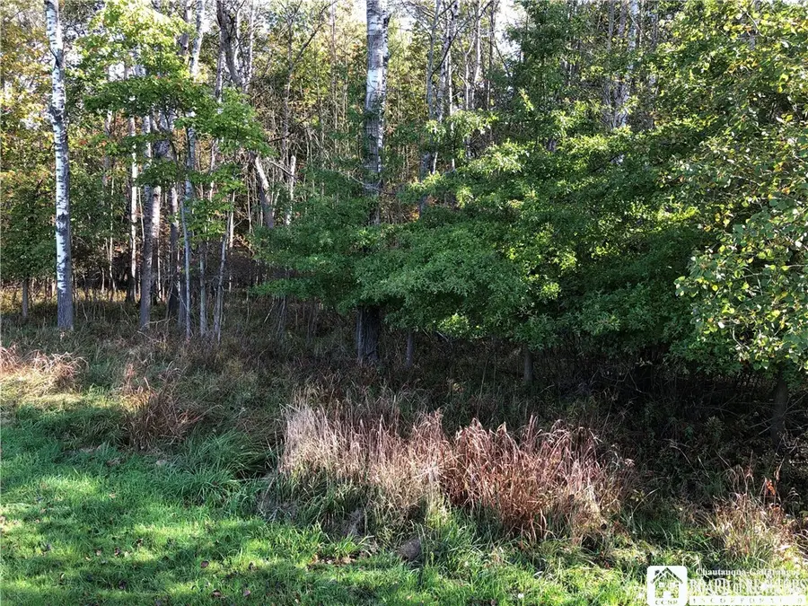 0 East Virginia Boulevard, Jamestown, NY 14701 - Image #3