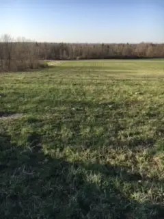 6798 Swamp Road, Byron, NY 14422 - Image #2