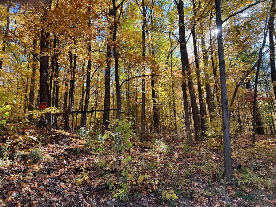 0 State Route 54, Wayne, NY 14893 - #3