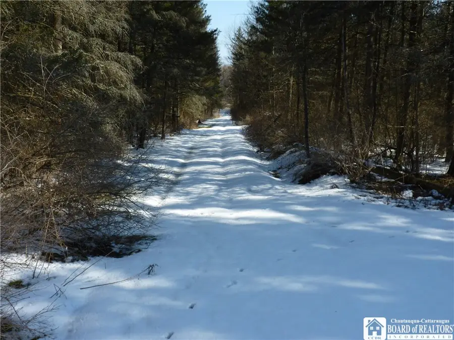 6266 Bluebird Lane, Leon, NY 14751 - Image #2