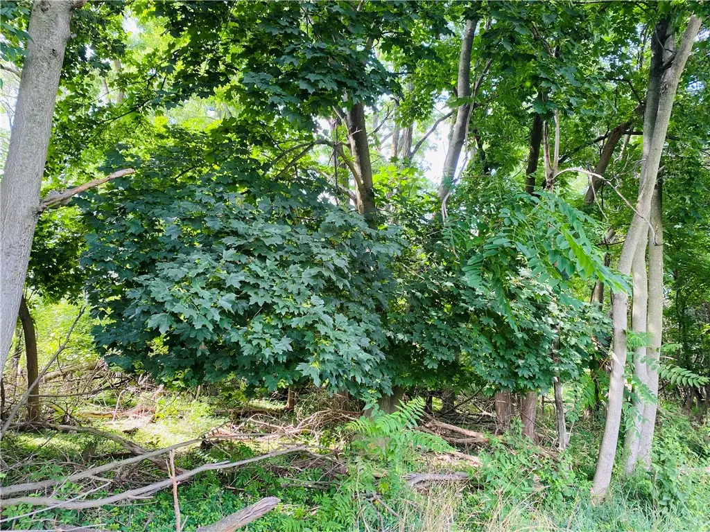 25 Horan Road, Medina, NY 14103 - Image #1