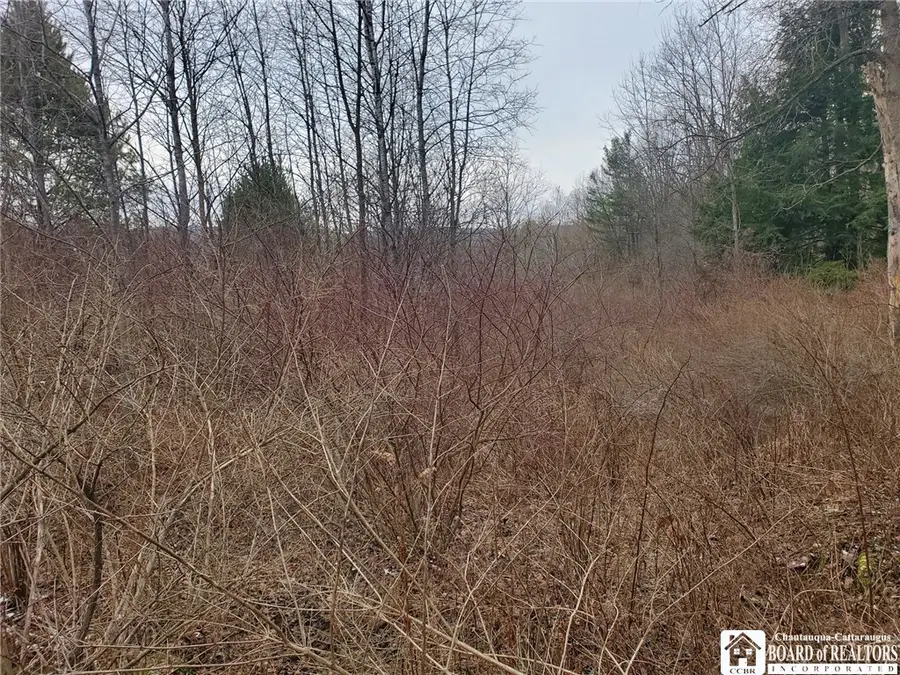 0 Steam Valley Road, Olean, NY 14760 - Image #3