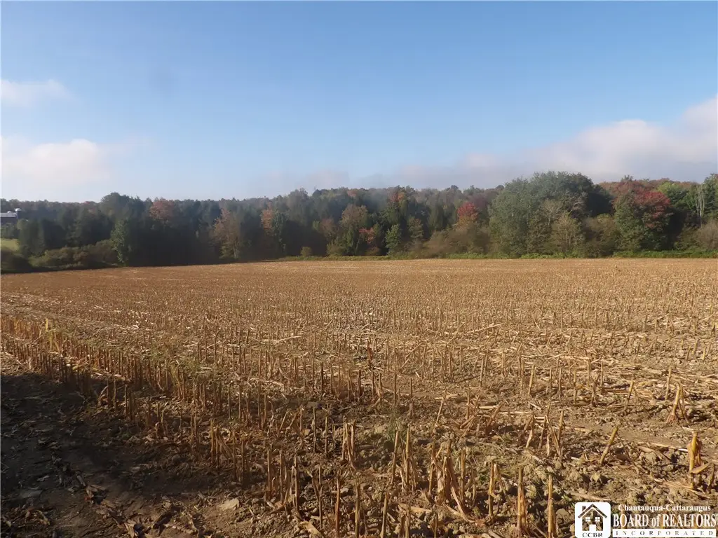 0 Cabbage Hill Rd, Clymer, NY 14724 - Image #1