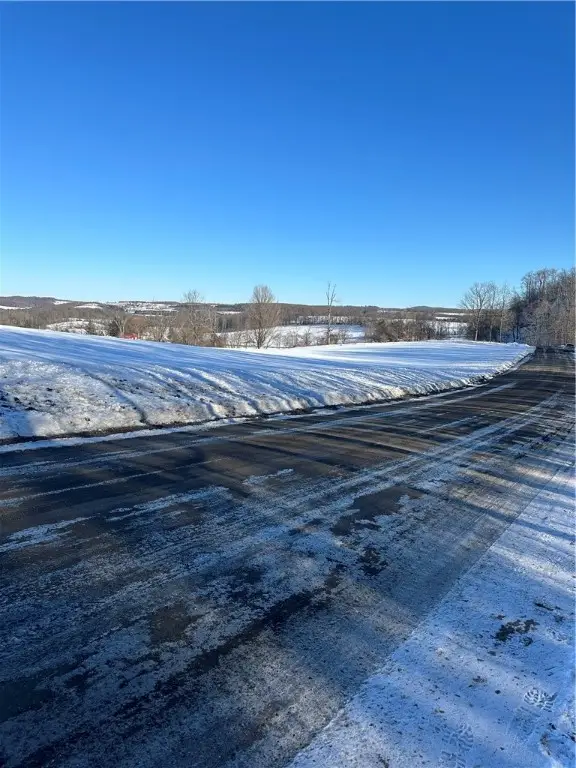 00 Mt Tom Road, Springfield Center, NY 13468 - Image #2