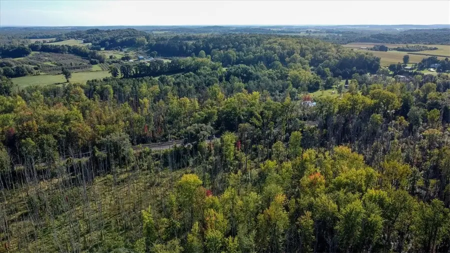 VL Old Route 31, Galen, NY 14489 - Image #3