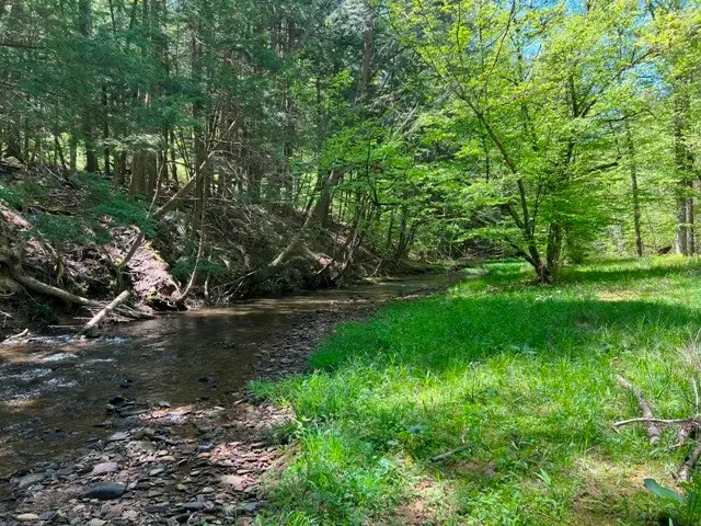 0 Clear Creek Road, Shippen, PA 15834 - Image #1