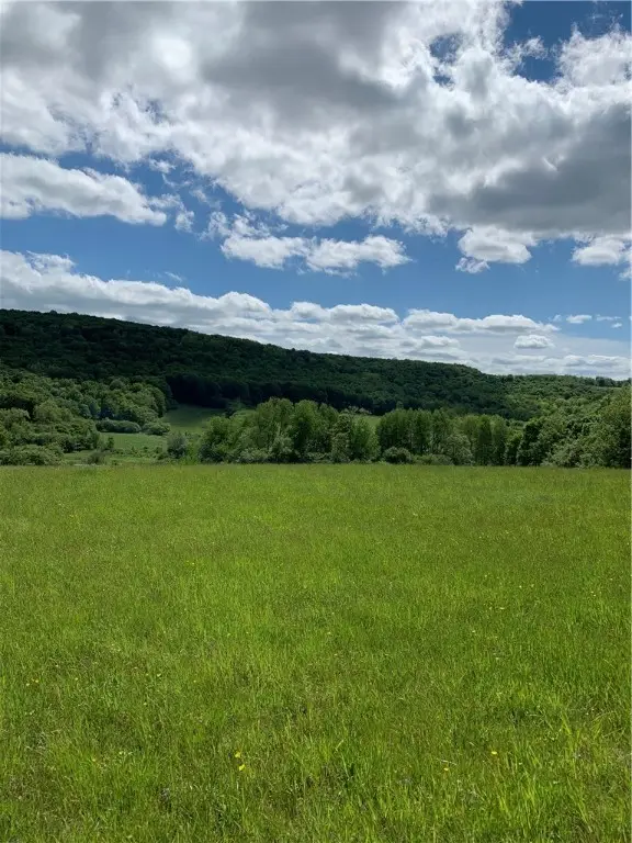 Lot 6 Warren Road, Meredith, NY 13753 - Image #3
