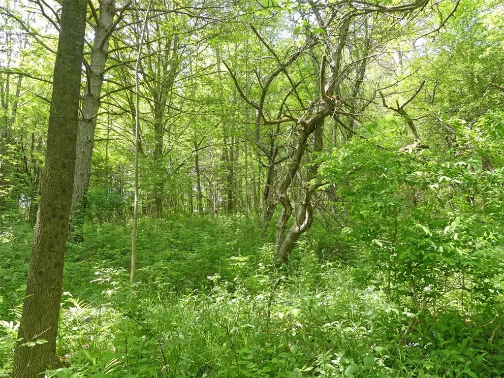 Lot 19 Orchard Lane, Bovina, NY 13740 - Image #1