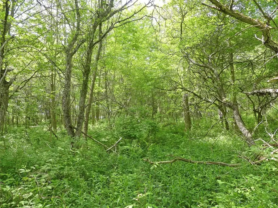 Lot 19 Orchard Lane, Bovina, NY 13740 - Image #3