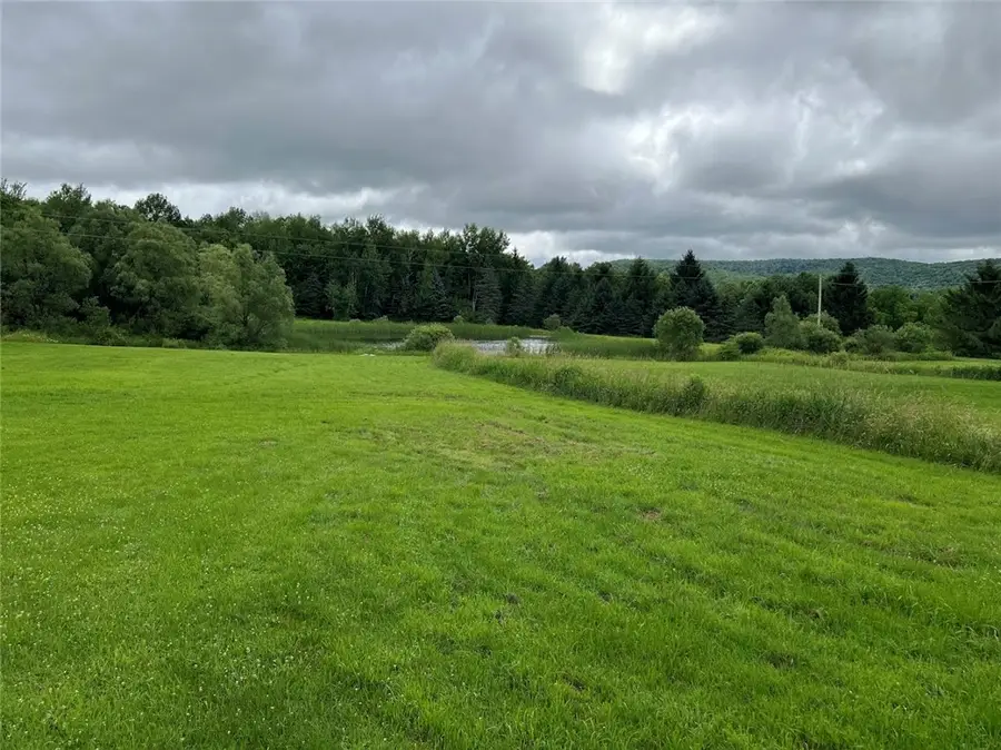 1111 Huska Road, Delhi Town, NY 13752 - Image #3