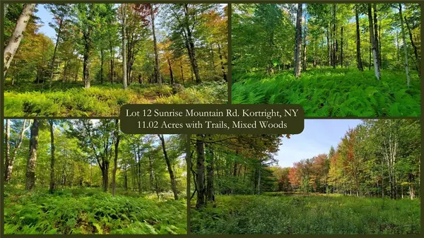 Lot 12 Sunrise Mt Road, Bloomville, NY 13739