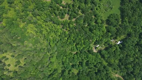 0 Mason Hill Rd./jakes Ln., Driftwood, PA 15832