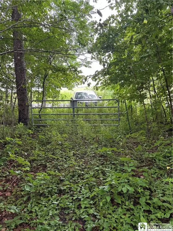 0 N Hill Road, Villenova, NY 14138 - Image #2