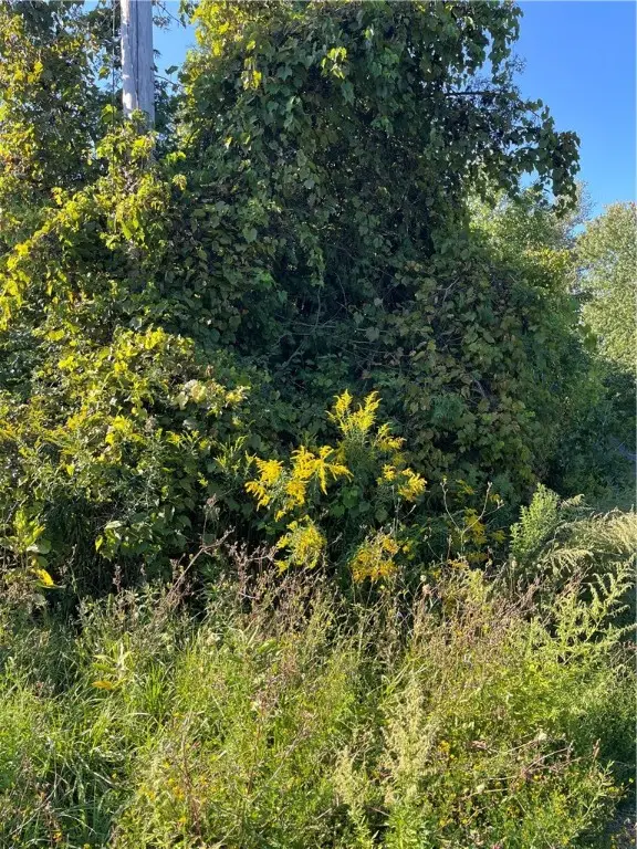 0 Ridge Road, Wolcott, NY 14590 - Image #2