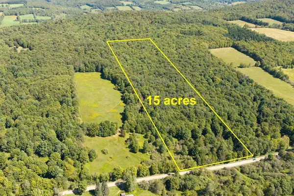 Lot 2 Warren Road, Delhi, NY 13753
