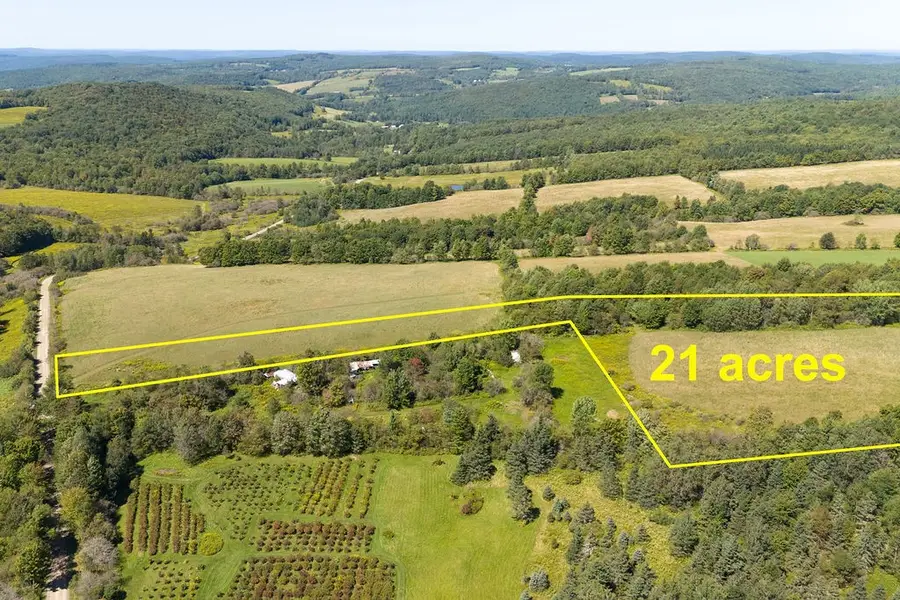 Lot 11 Warren Road, Delhi, NY 13753 - Image #3