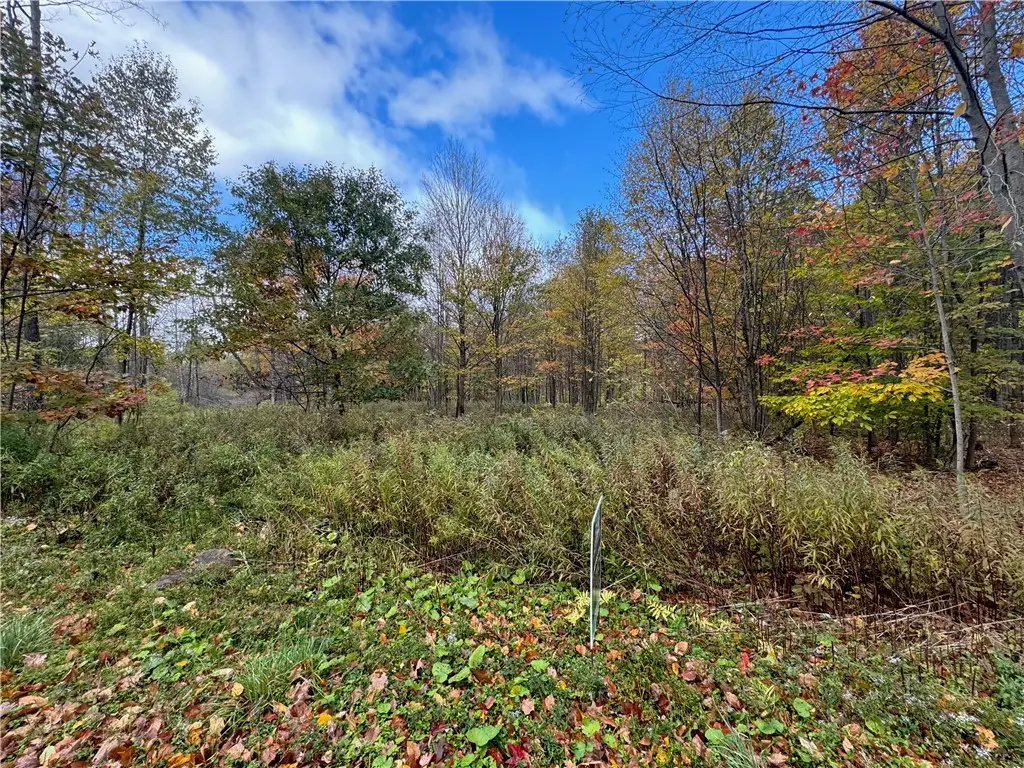 0 Town Line Road, Butternuts, NY 13776 - Image #1