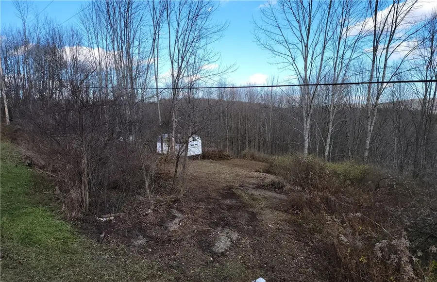 236 Spurr Street, New Berlin, NY 13411 - Image #3